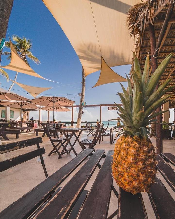 Capri Beach House プンタ・カナ エクステリア 写真